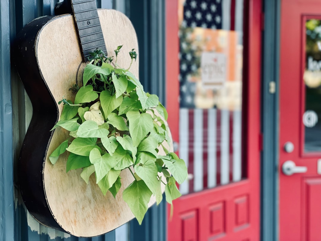 Photo Acoustic guitar